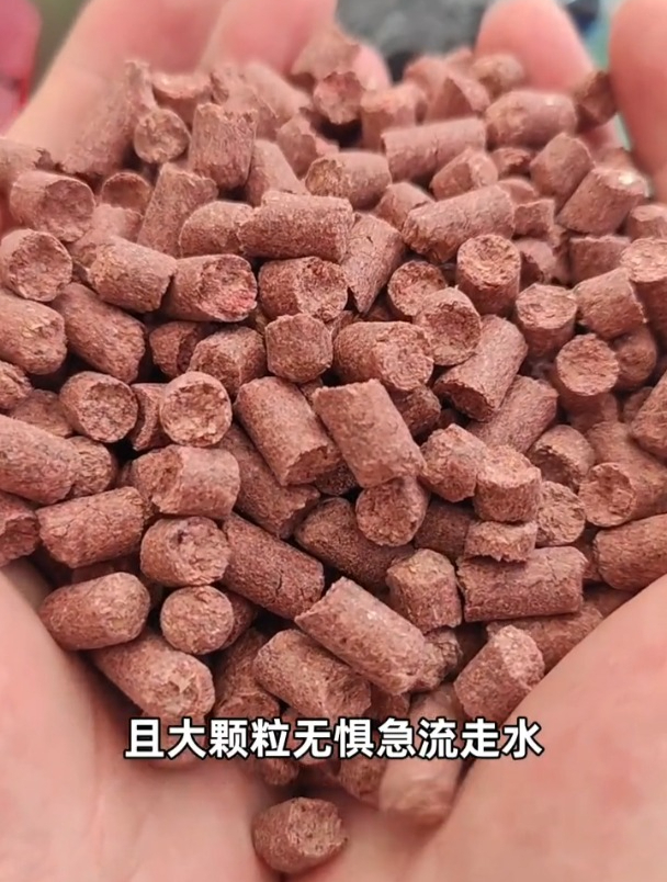 这才是让你溪流钓能爆护的打窝颗粒窝料,石斑马口钓到手软!
