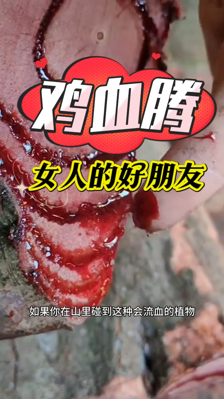 鸡血藤煮水,例假的好帮手