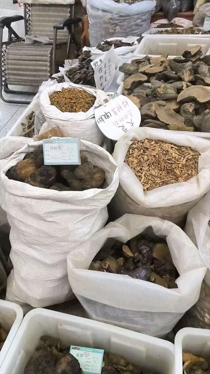 分享常见的菌类药材