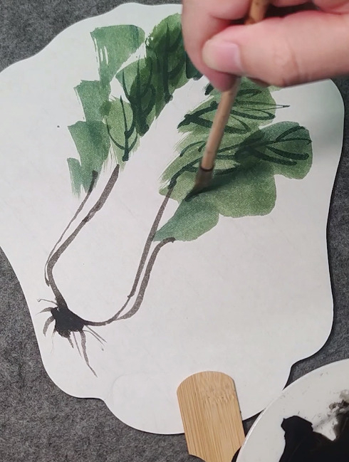 一分钟教会你画出一副白菜