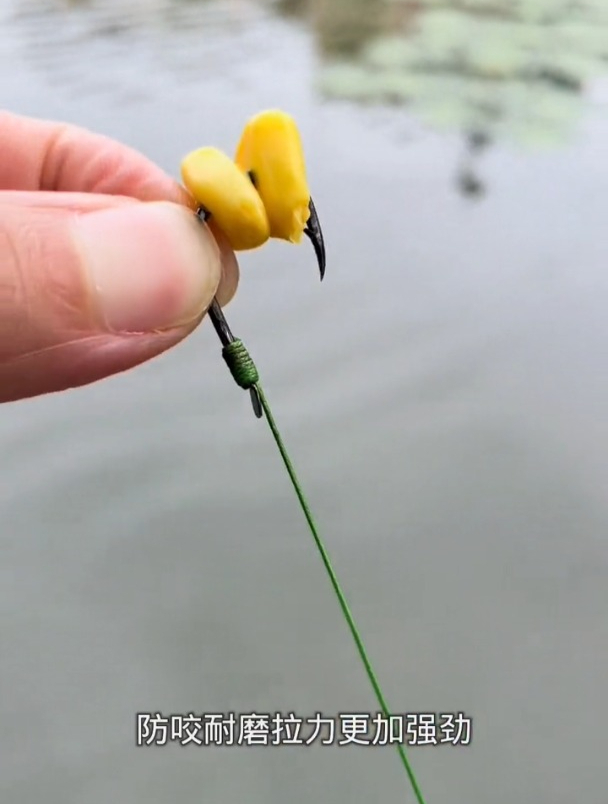 观察实际鱼情巧用玉米粒作钓,第一次钓到这么多草鱼!