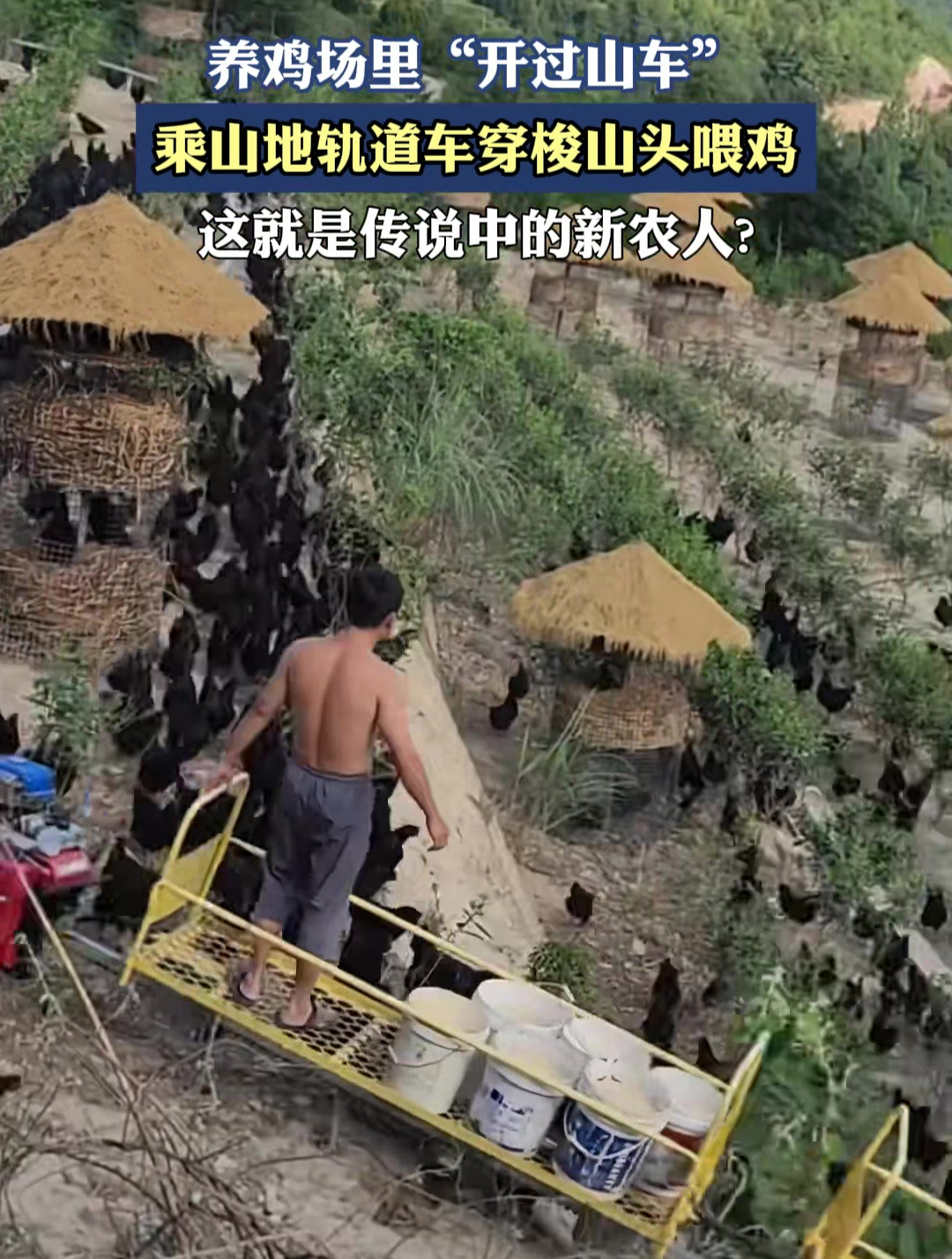 养鸡场里“开过山车”,乘山地轨道车穿梭山头喂鸡