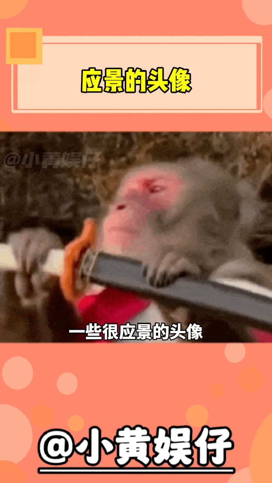 应景的头像.......