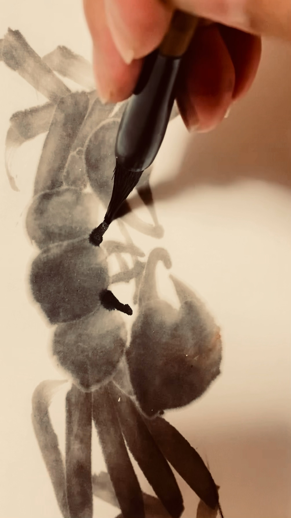 齐白石水墨螃蟹的画法