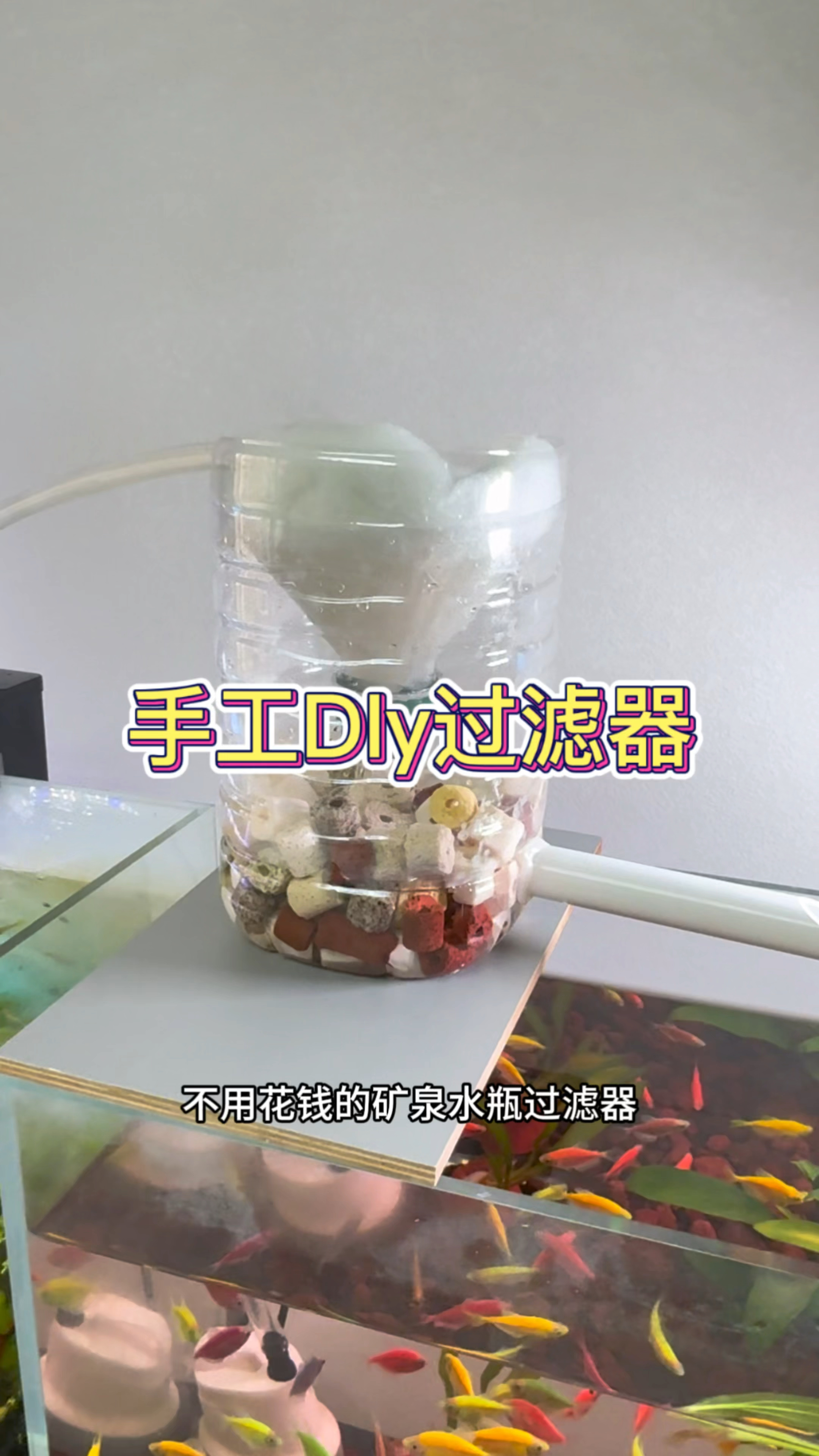 要是你的鱼缸过滤没啥用,那可以试试这个不用花钱的矿泉水瓶
