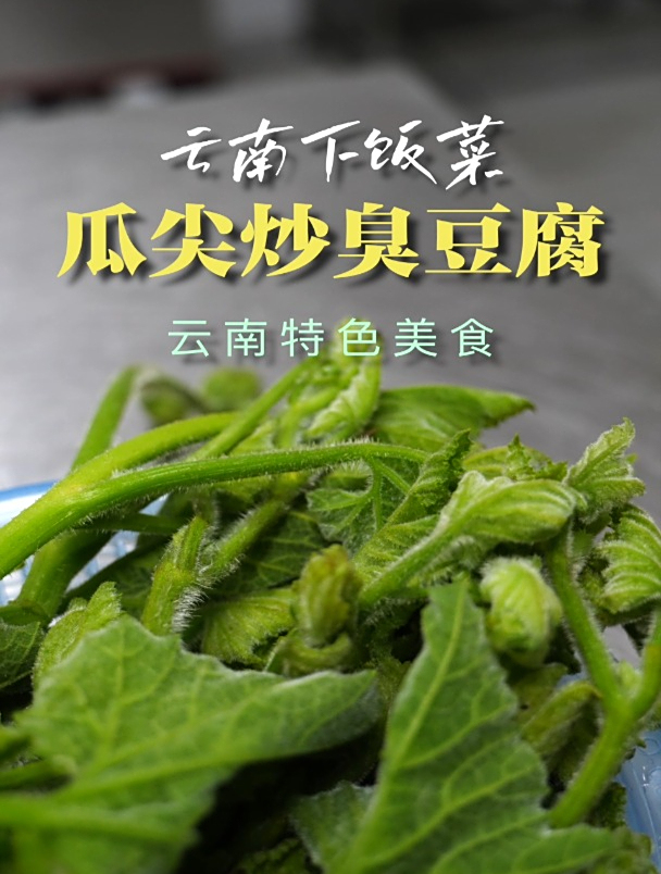 云南特色美食,下饭菜“瓜尖炒臭豆腐”