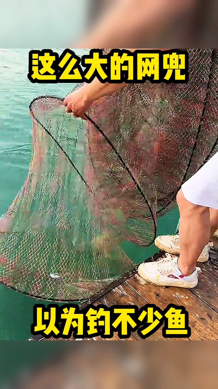 这么大的网兜,以为钓不少鱼。
