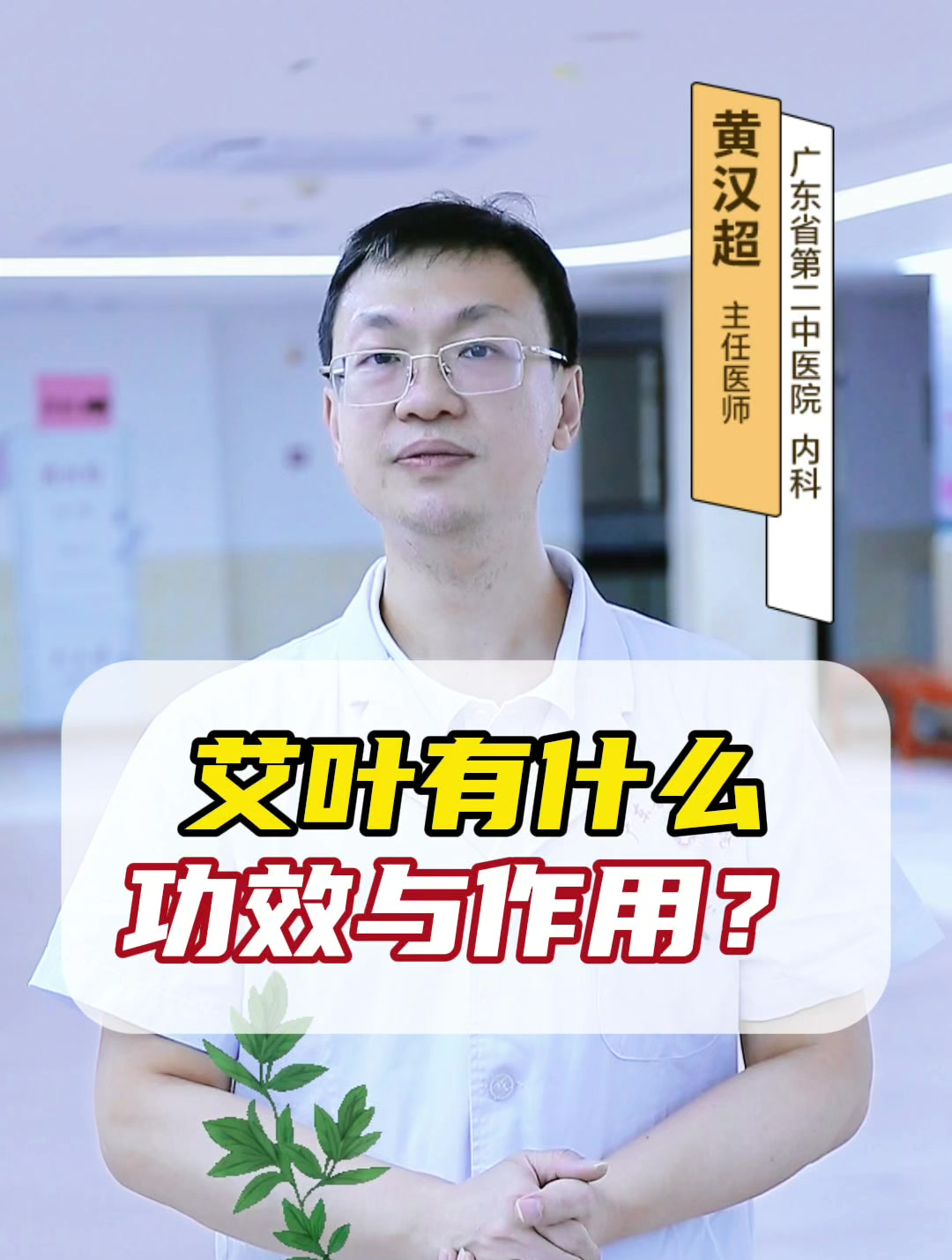 艾叶有什么功效与作用?