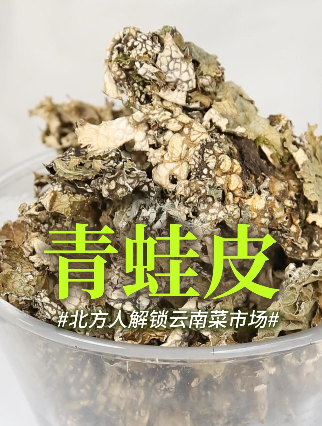 树皮也能吃?!云南这种神奇野菜,按北方做法可能真吃不了……