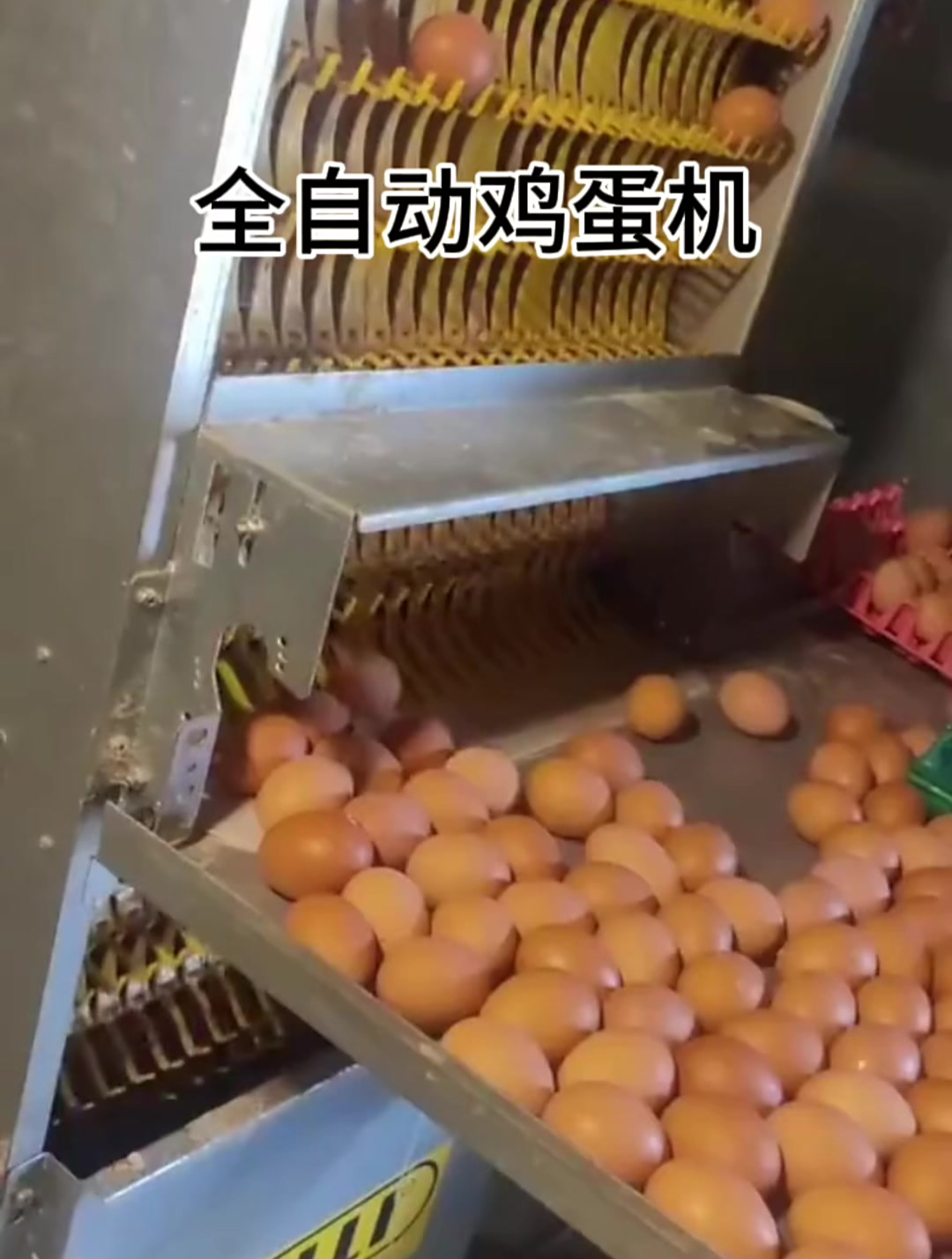 那鸡蛋是怎么放上去的呢