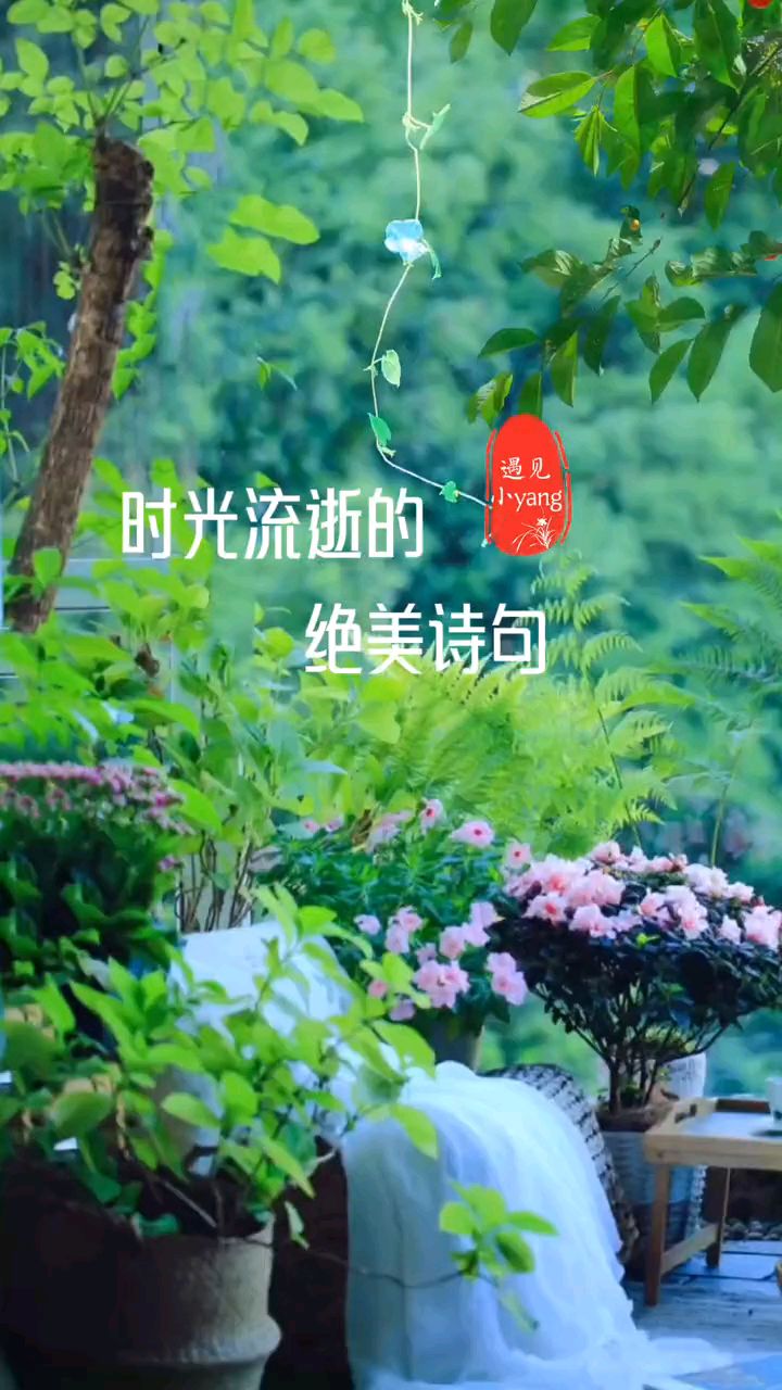时光流逝的绝美诗句