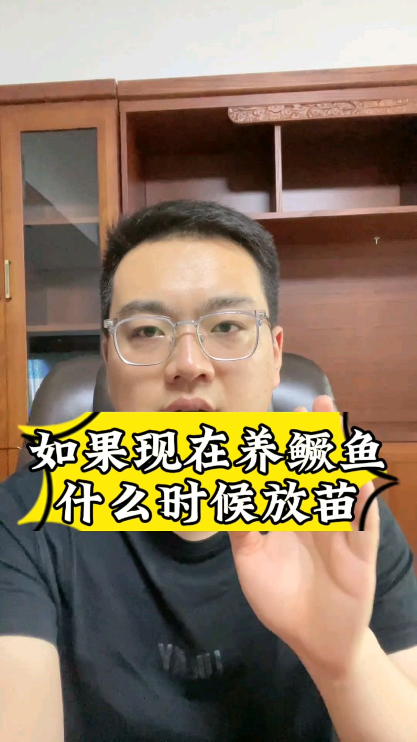 如果现在养鳜鱼,什么时候放苗#鳜鱼养殖 #桂花鱼 #鳜鱼 #独霸