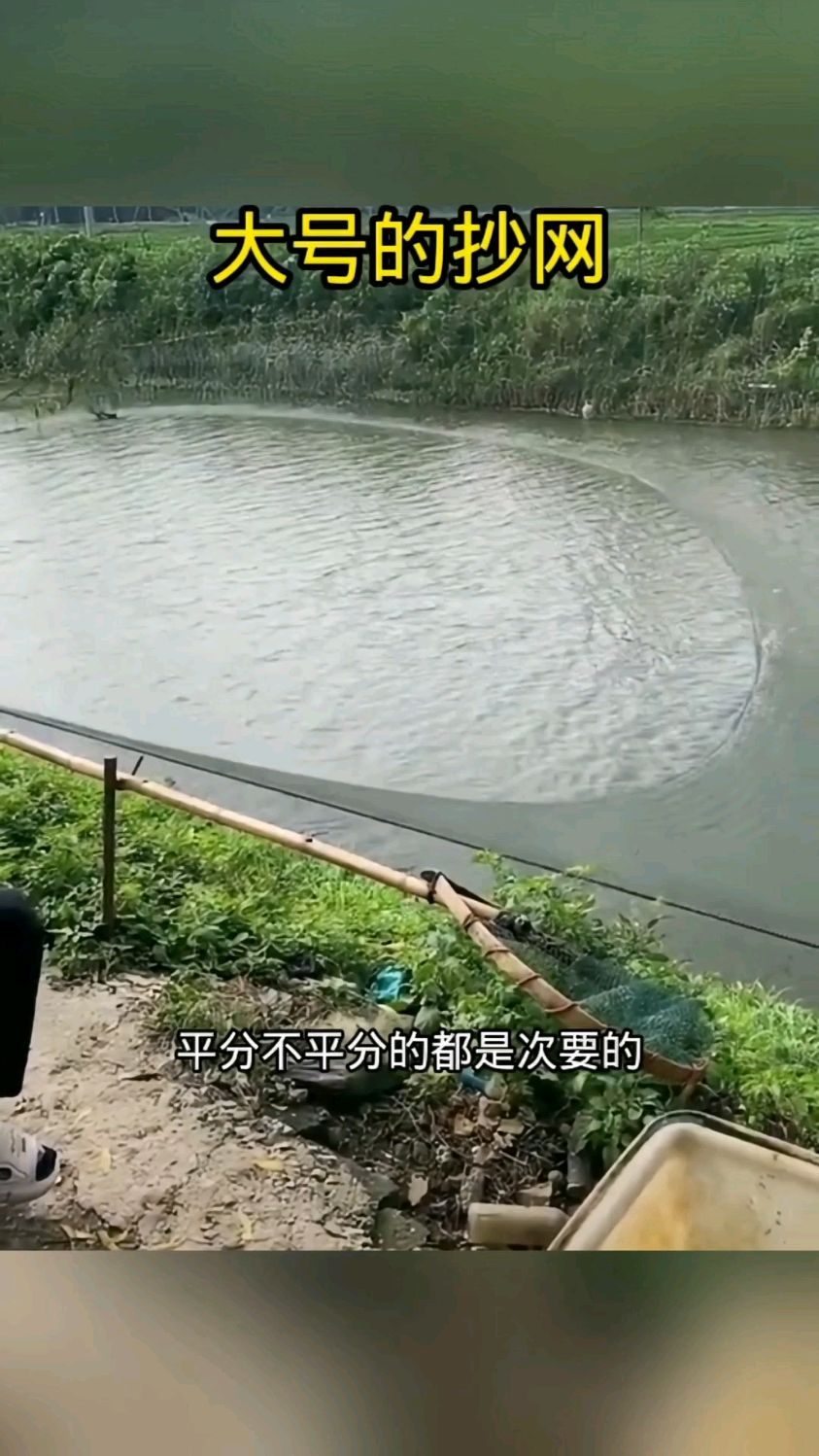 大号的抄网捞鱼,结局万万没想到