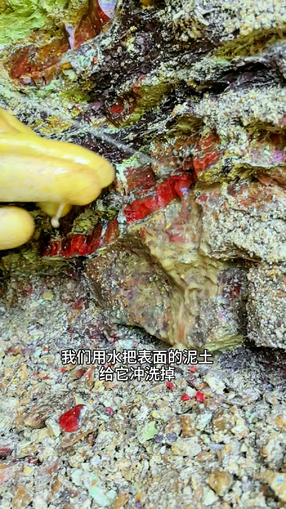 山洞的泥土清洗后出现一条像鸡血石的矿脉