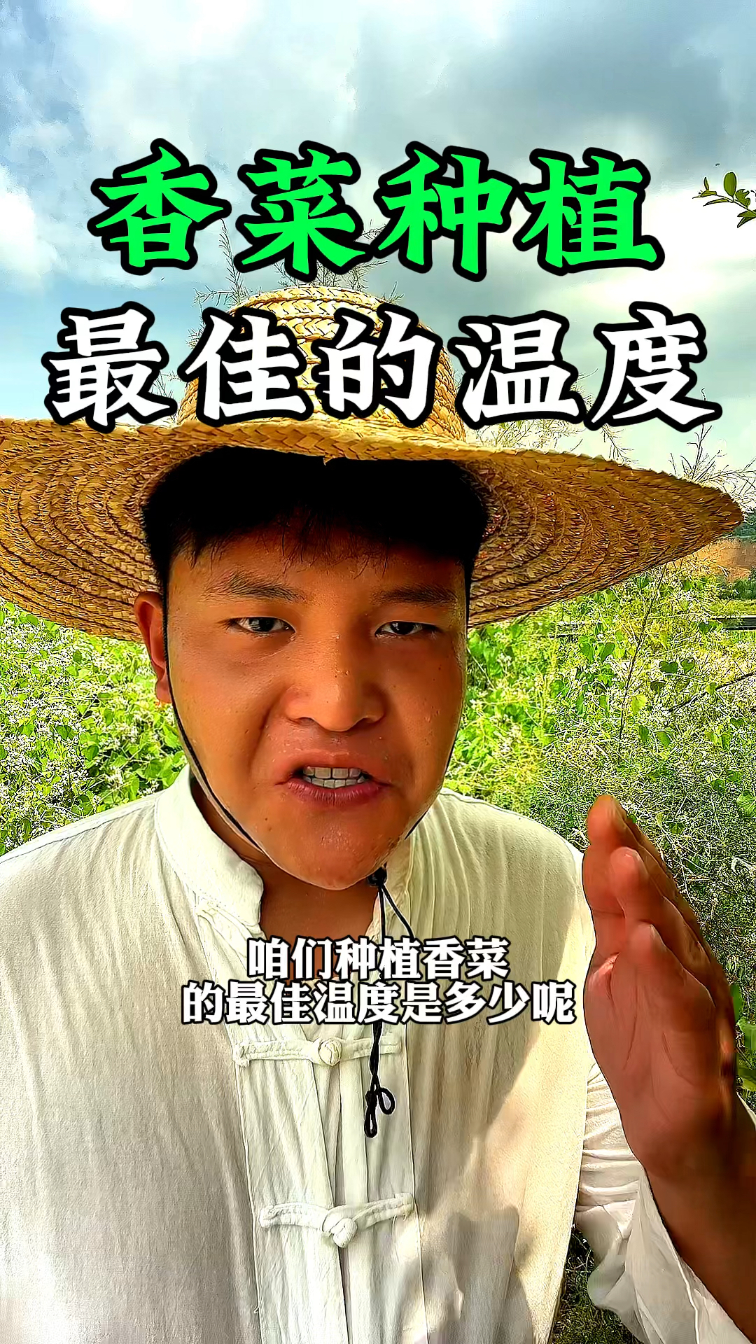 香菜种植的最佳温度是多少比较合适