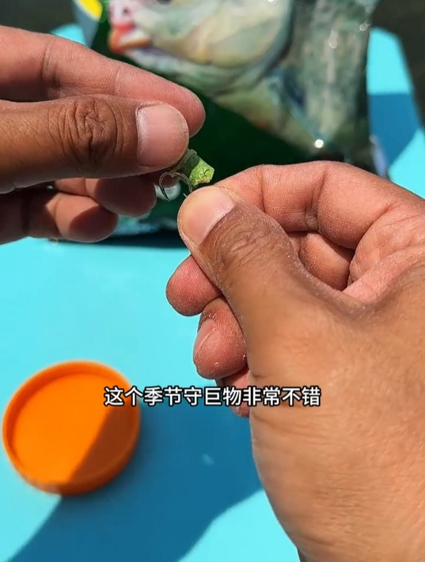 颗粒饵钓鲤鱼青鱼草鱼和普通粉饵有什么区别?真能刺激大鱼开口?