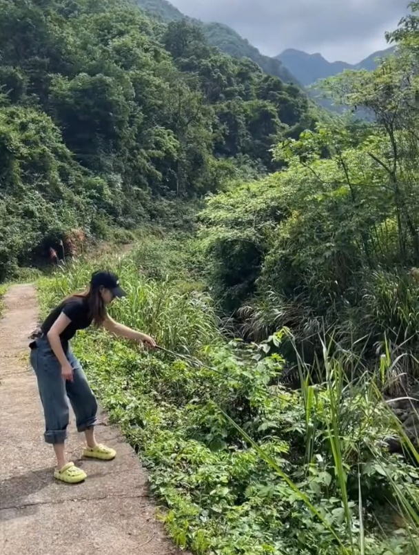 钓溪流石斑马口鱼,用加了红蛆的面筋饵和普通面筋饵有什么区别?