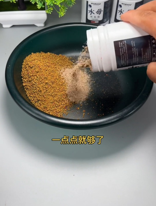黑坑钓鲤鱼,小黄面拉饵的正确开制方法,老钓友详细演示!