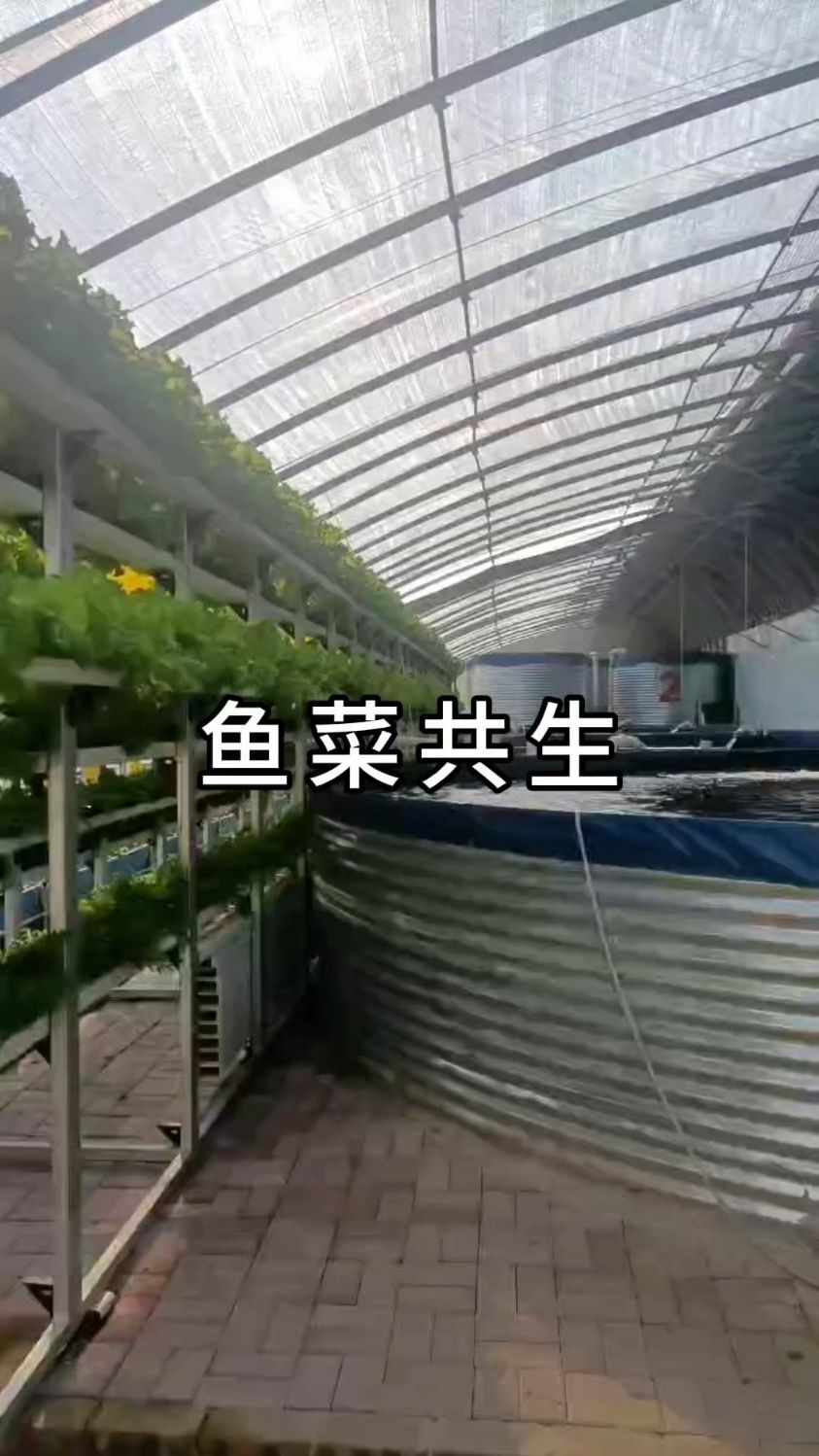 专业推荐寿光蔬菜技术员