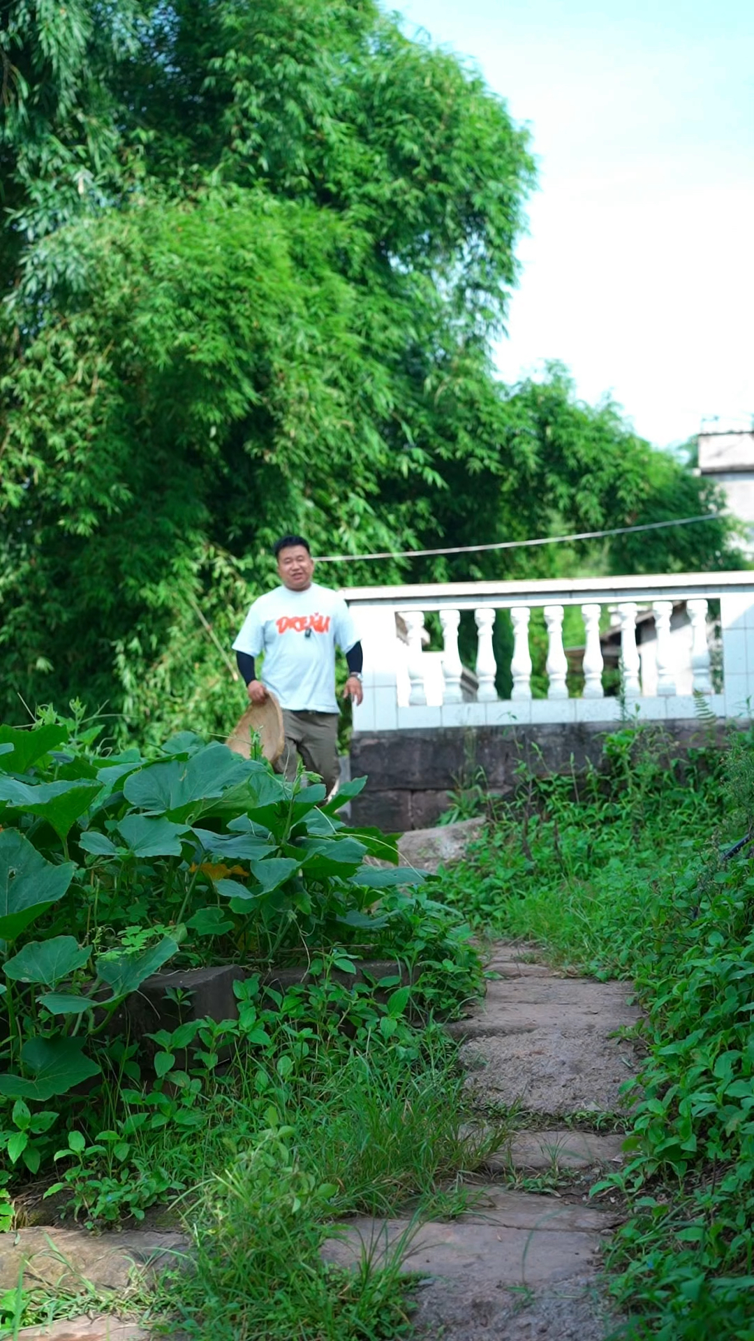 这就是我的乡村生活,一把红苕藤都可以炒个下饭菜