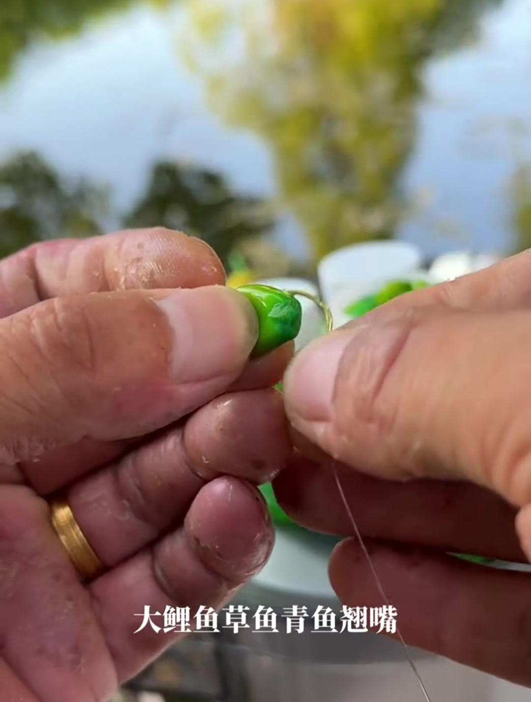夏季高温鱼不开口怎么办?果酸加玉米,轻松刺激鱼儿开口!