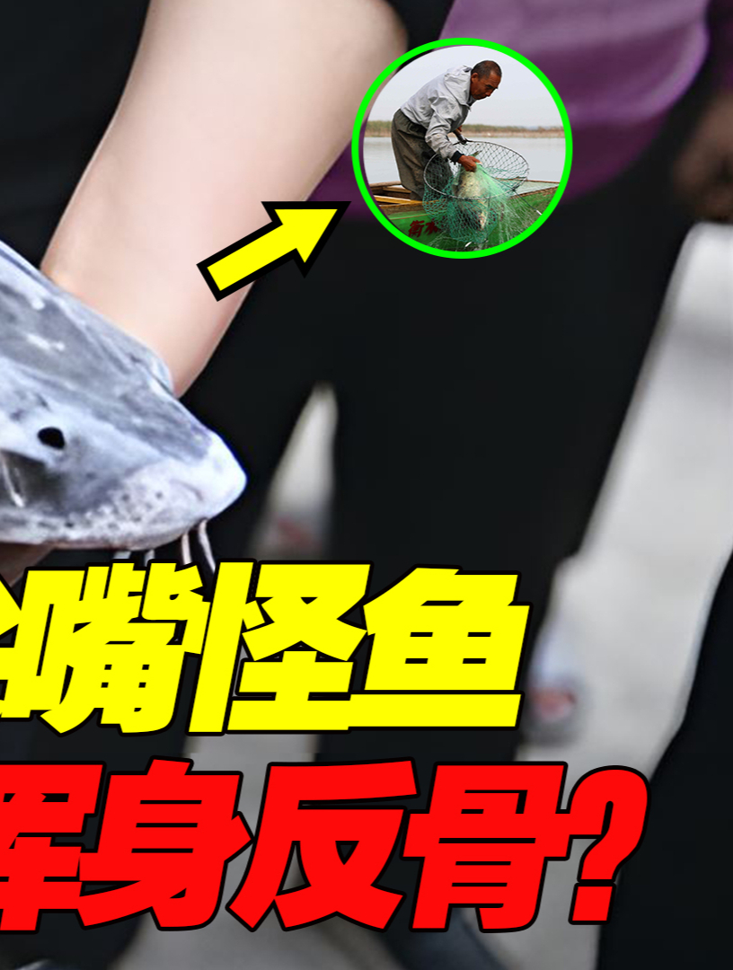 老渔夫河里抓到“尖嘴怪鱼”,不长鳞片浑身反骨?警方:想坐牢?