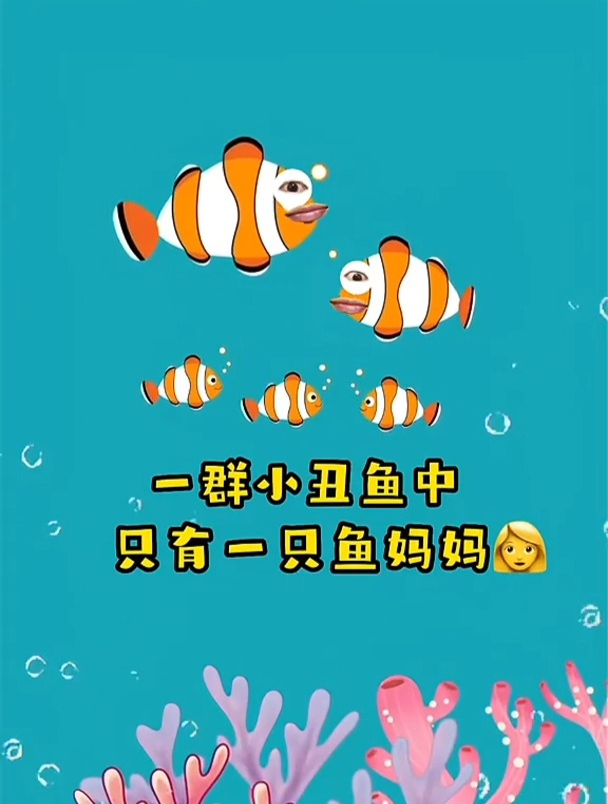 小丑鱼妈妈竟然是从爸爸变来的?