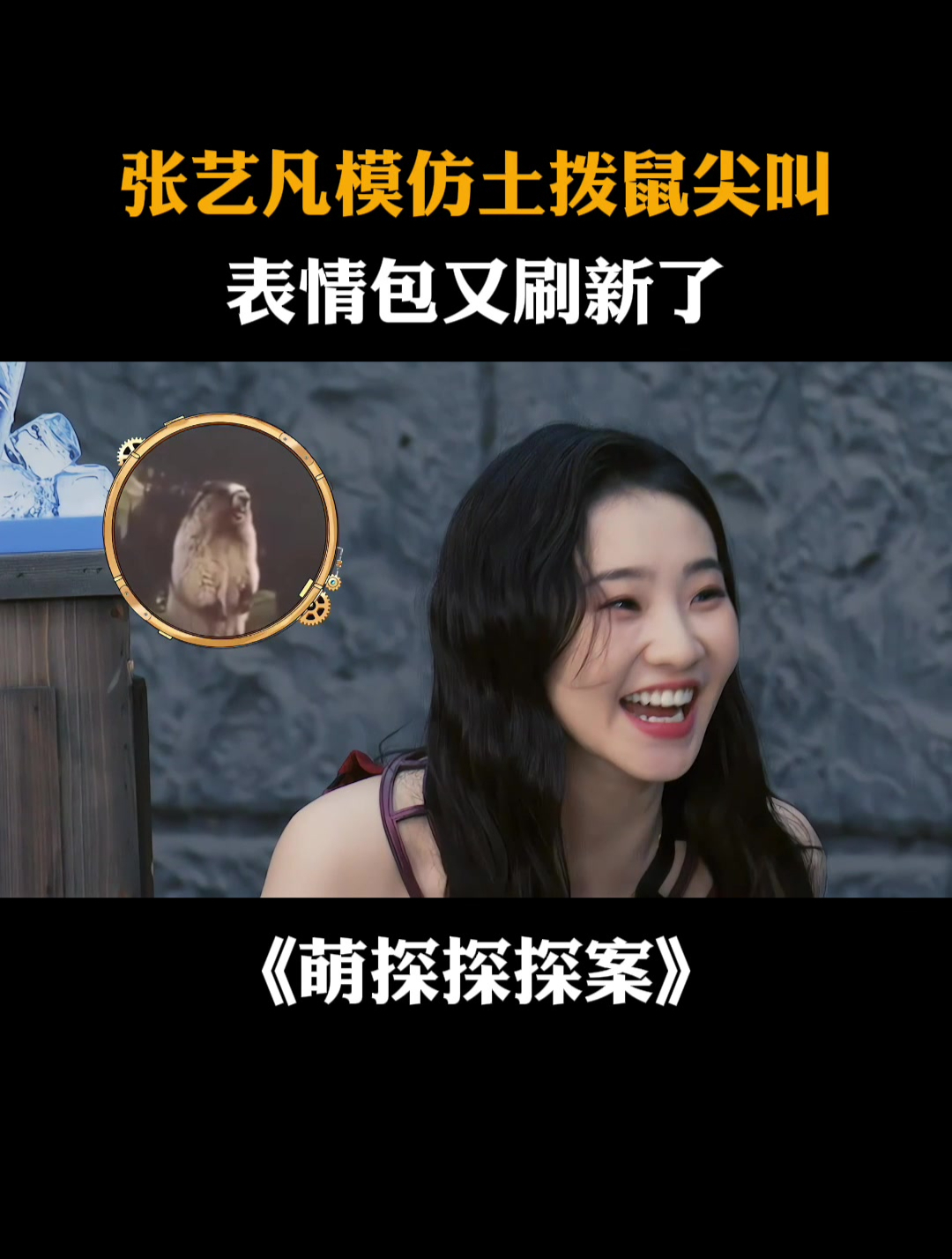 张艺凡模仿土拨鼠尖叫,表情包又刷新了丨萌探