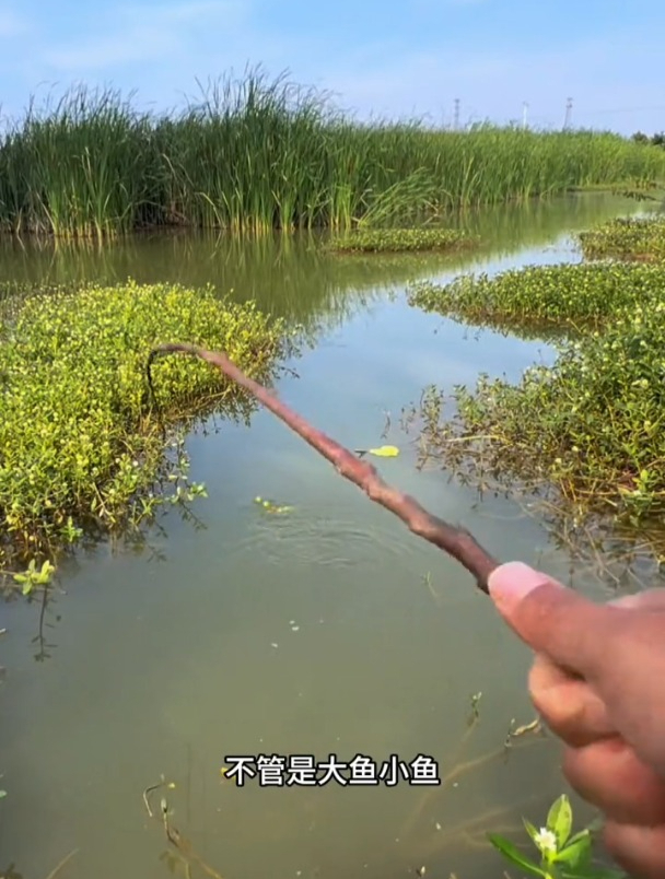 钓鲫鱼,号称比袖钩还好用的鱼钩,水库实测结果却是这样!