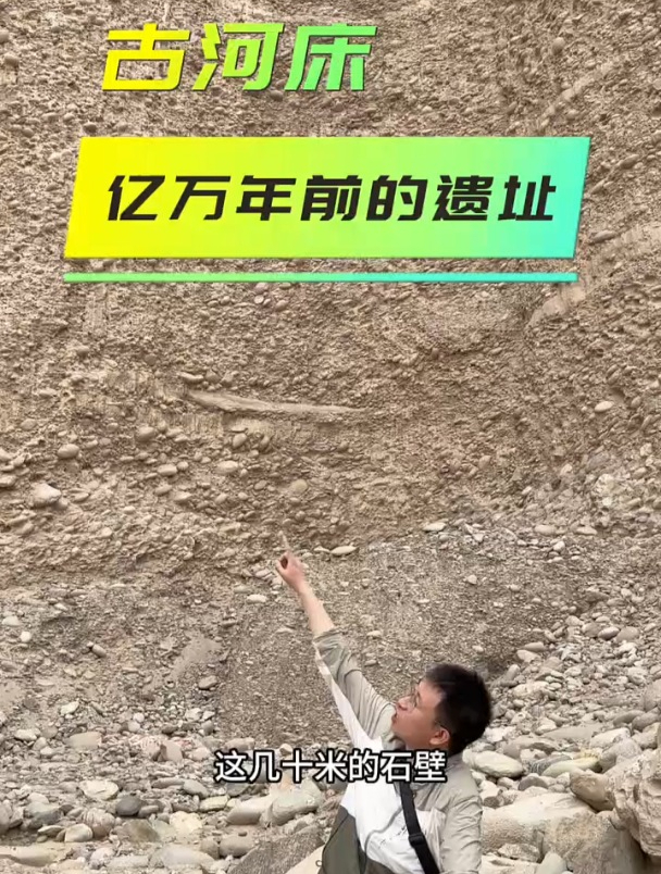 古生物化石:古河床亿万年前的遗址