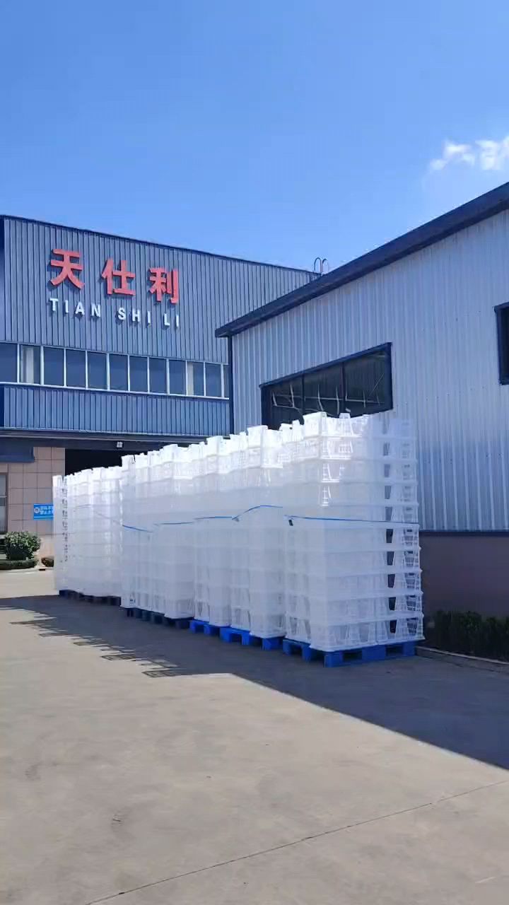 新式装种鸡蛋的筐子是什么样的?这款是配套蛋盘使用