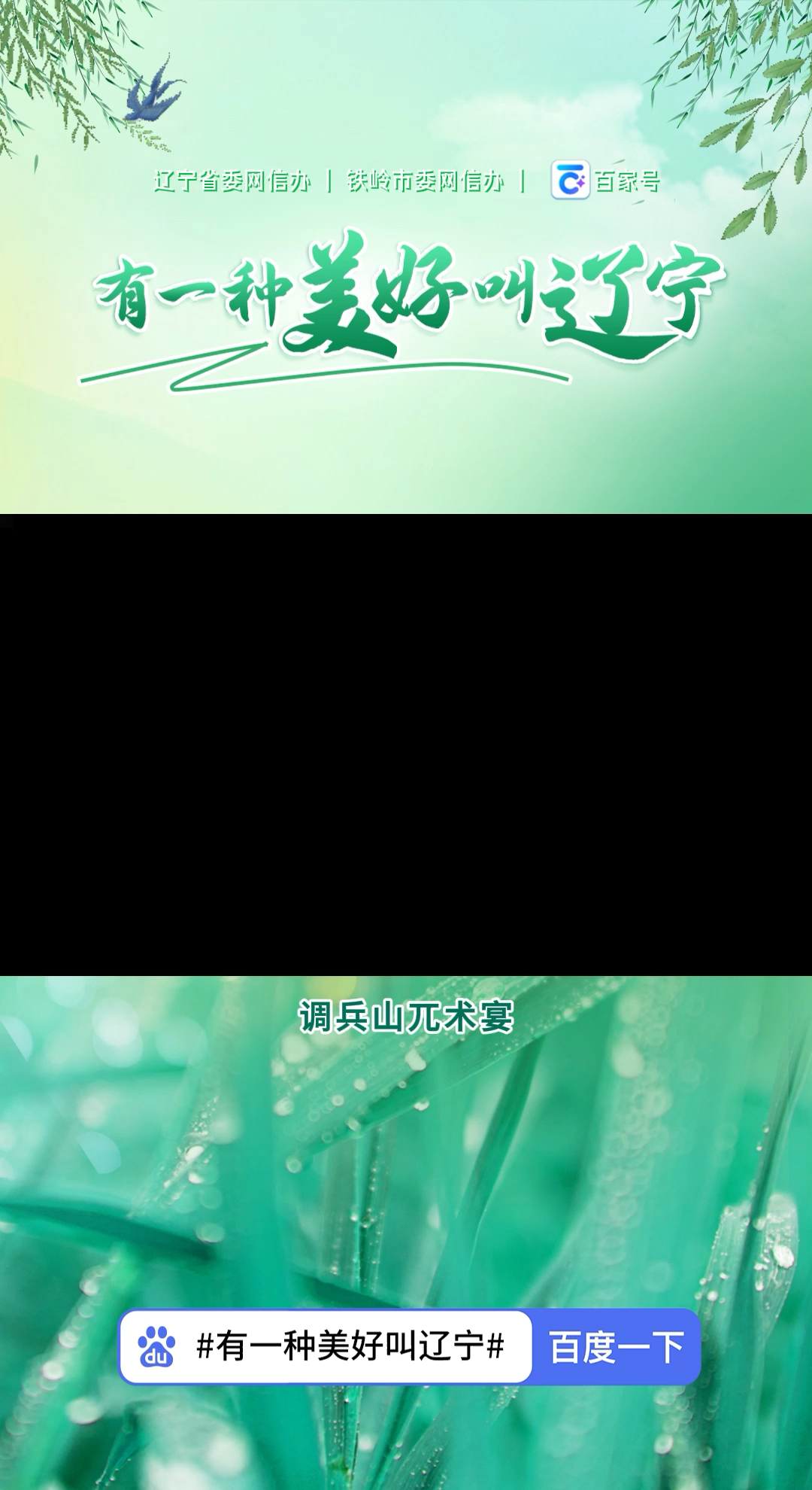 调兵山兀术宴#美好辽宁欢迎您