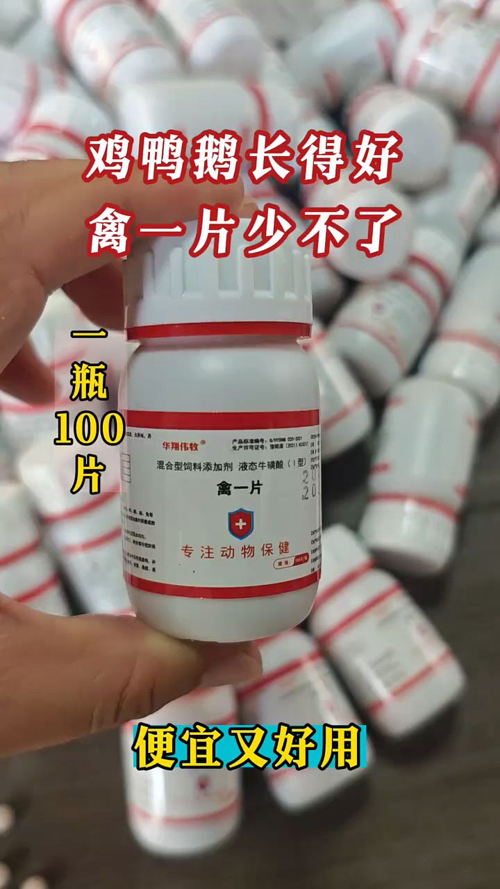 鸡鸭鹅养殖用这个好