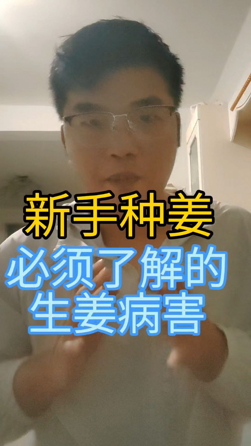 你知道生姜常见的病虫害都有那些吗