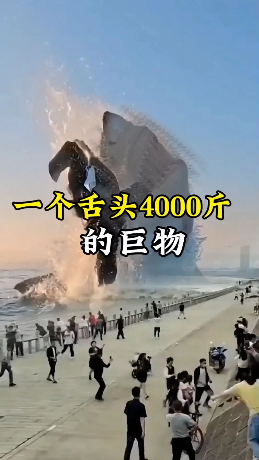 一个舌头就重4000斤的巨物 一口能摄入90吨的水#鲸鱼 #蓝鲸 #科普