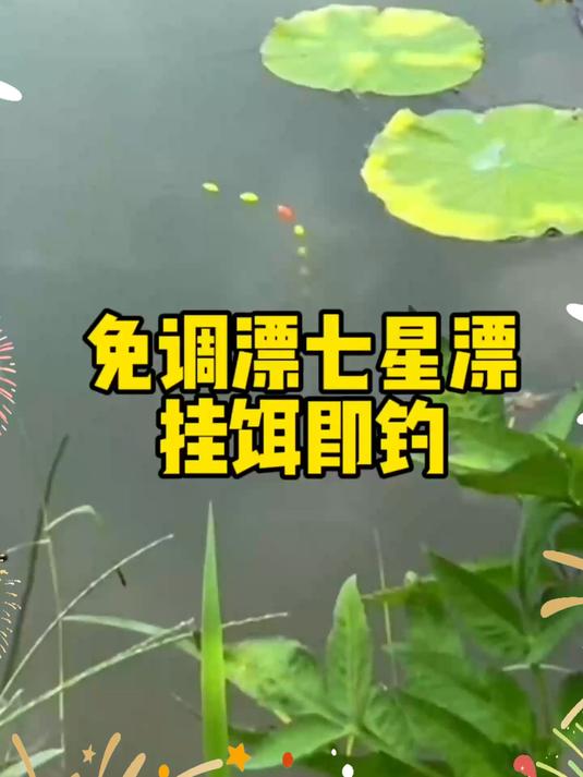 无需调漂直接挂饵即钓#七星漂传统钓 #钓鱼 #钓鱼技巧 #调漂技巧