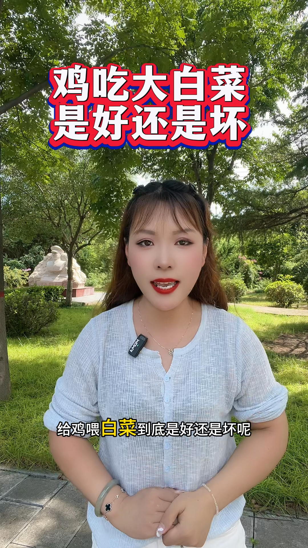 鸡吃大白菜,是好还是坏