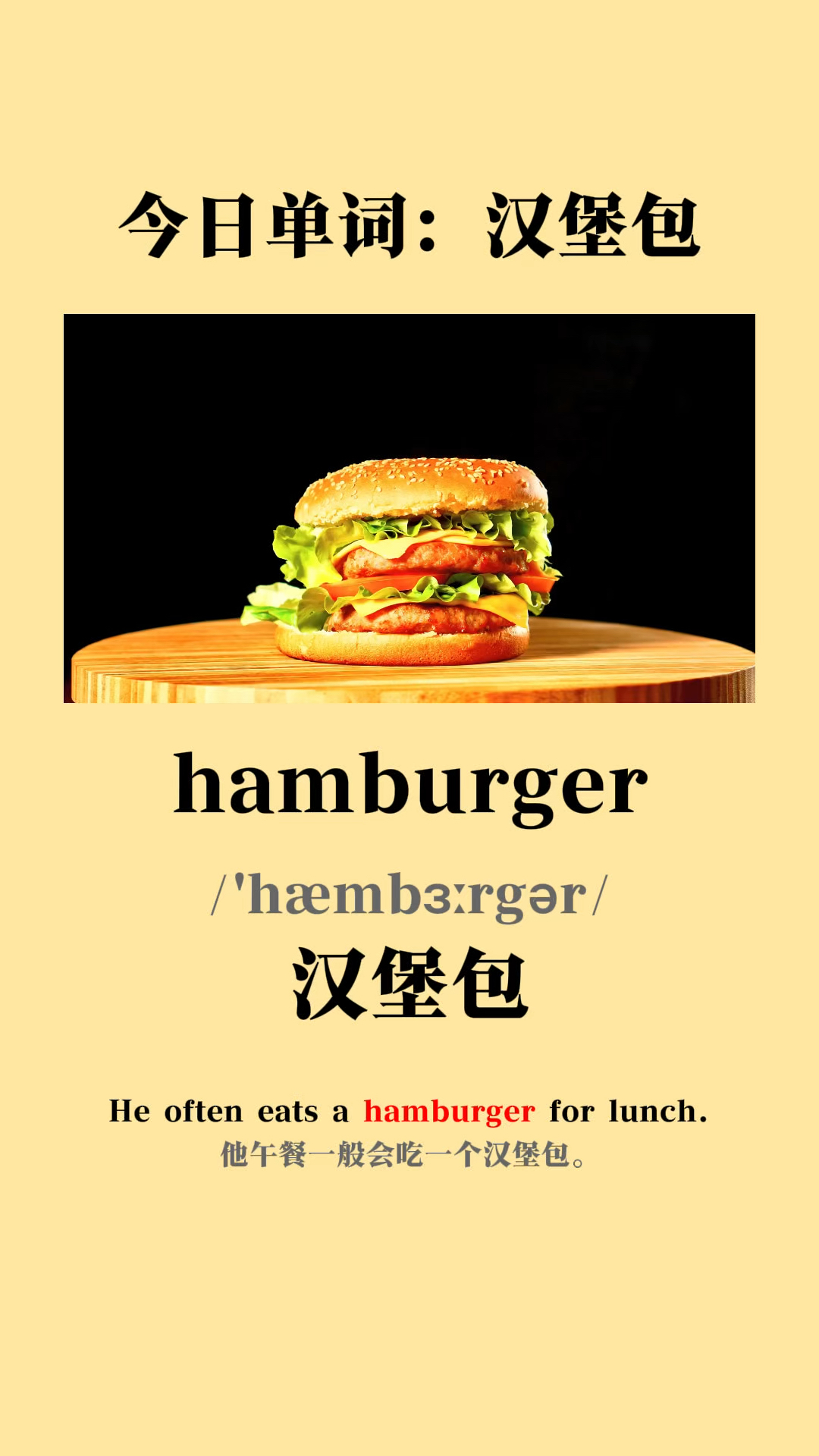 今日学习单词:汉堡包