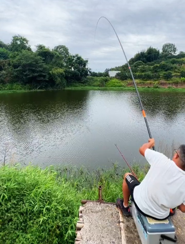 夏季钓鲫鱼如何打窝效果最好?掌握这些要点,让中鱼率翻个倍!