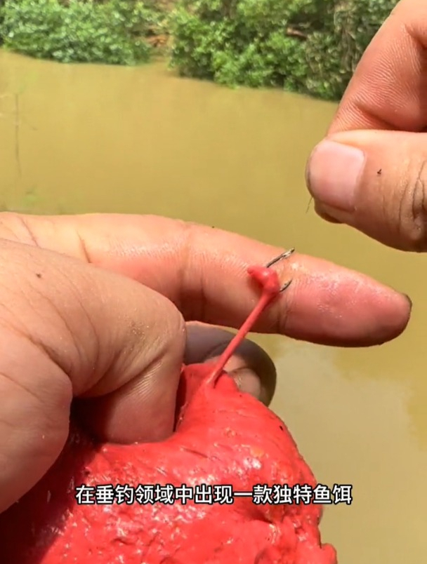 钓溪流石斑马口鱼怎么选饵料?面筋饵垂钓效果怎么样?