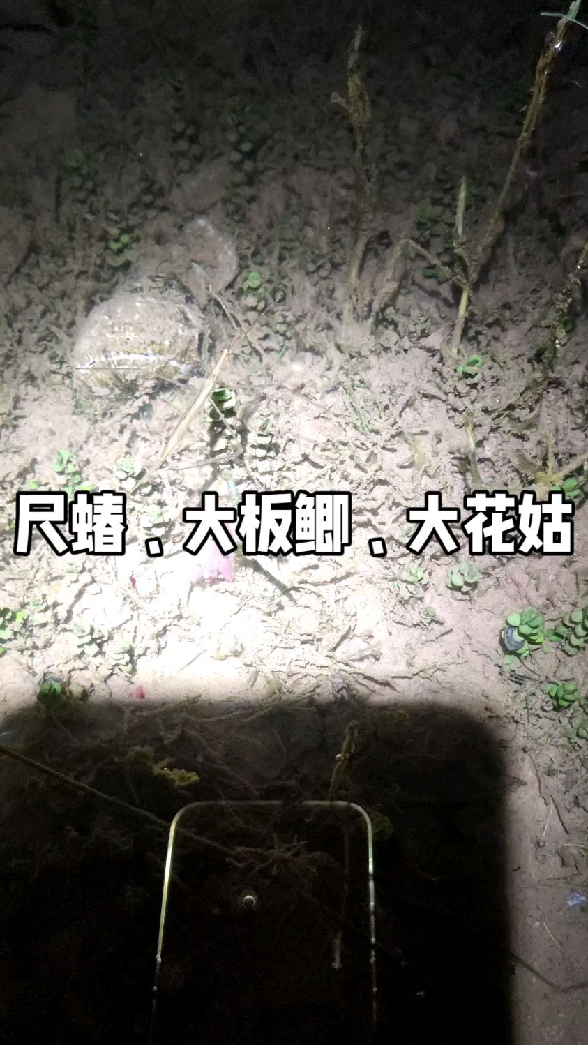 外县资源就是好!这花姑鱼力气不小,0.6的线差点被切了!