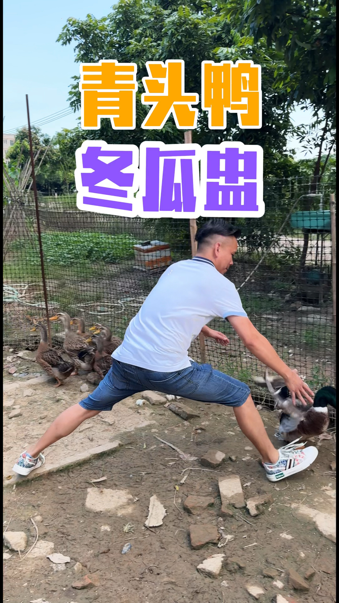 这份青头鸭冬瓜盅火锅终于吃上了