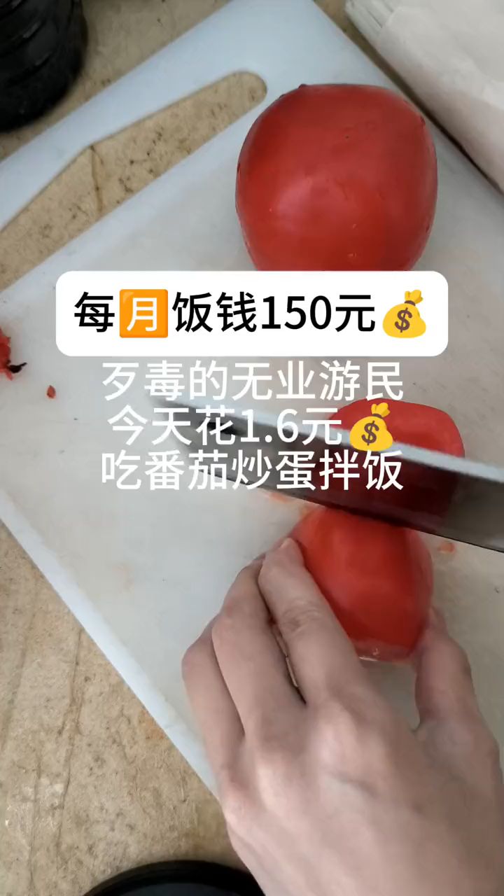 150吃一个月之1.6番茄炒蛋拌饭
