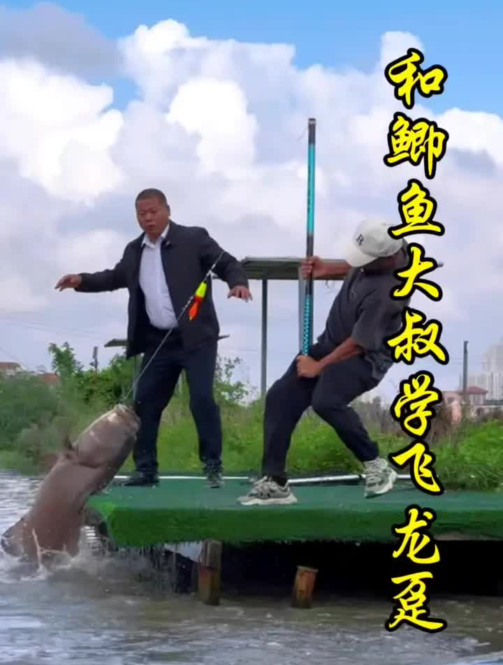 跟着鲫鱼大叔学习飞磕大龙趸