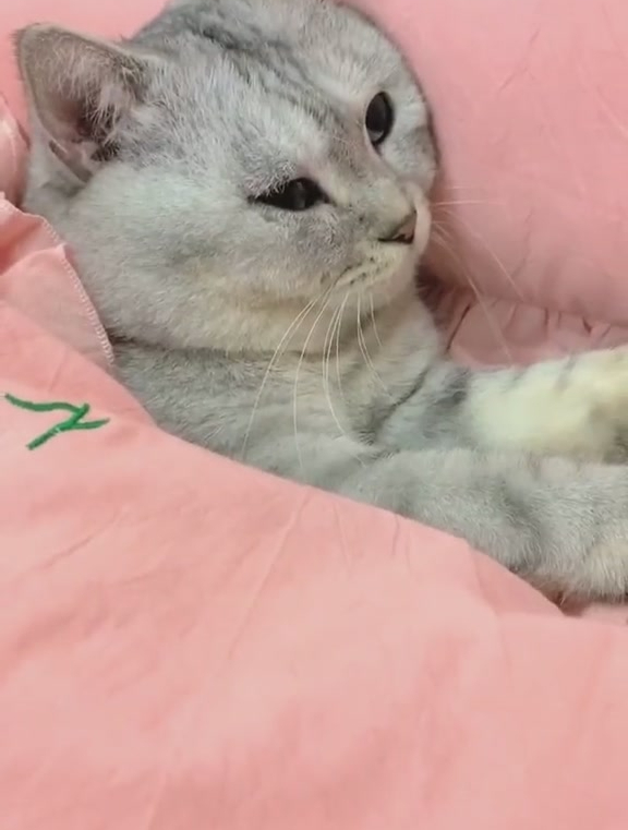当你正在睡觉,脚露出了床外边时……