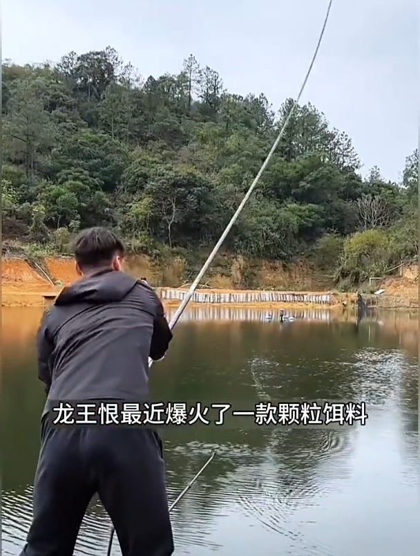 钓大鲤鱼大青鱼,用颗粒饵和粉饵有什么区别?哪一种效果更好?