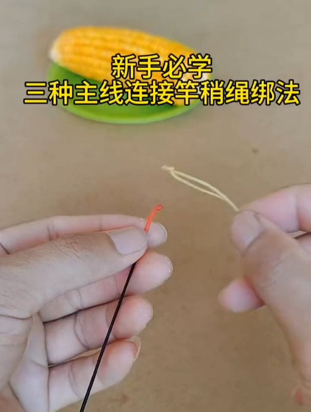 钓鱼新手必学的三种主线连接竿稍生绑法,简单又好用!