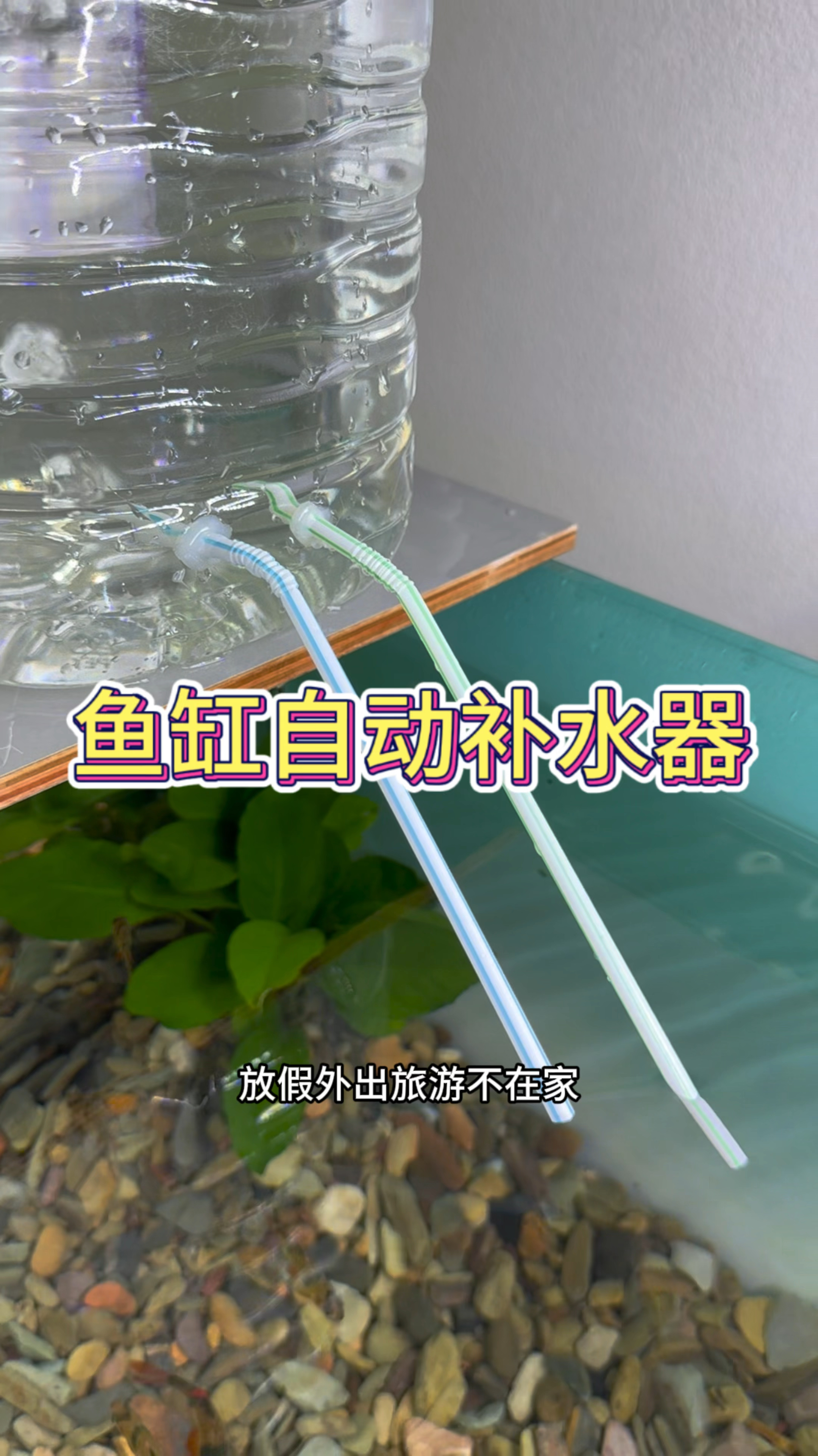 放假外出旅游不在家总担心鱼缸少水咋办,制作不用电的自动补水器