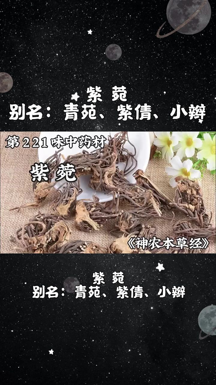今天介绍第两百二十一味中药材,紫菀