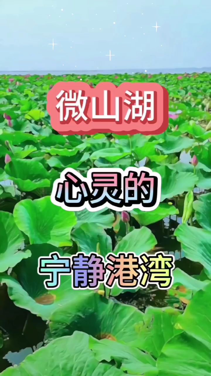 欢迎来到美丽的微山湖